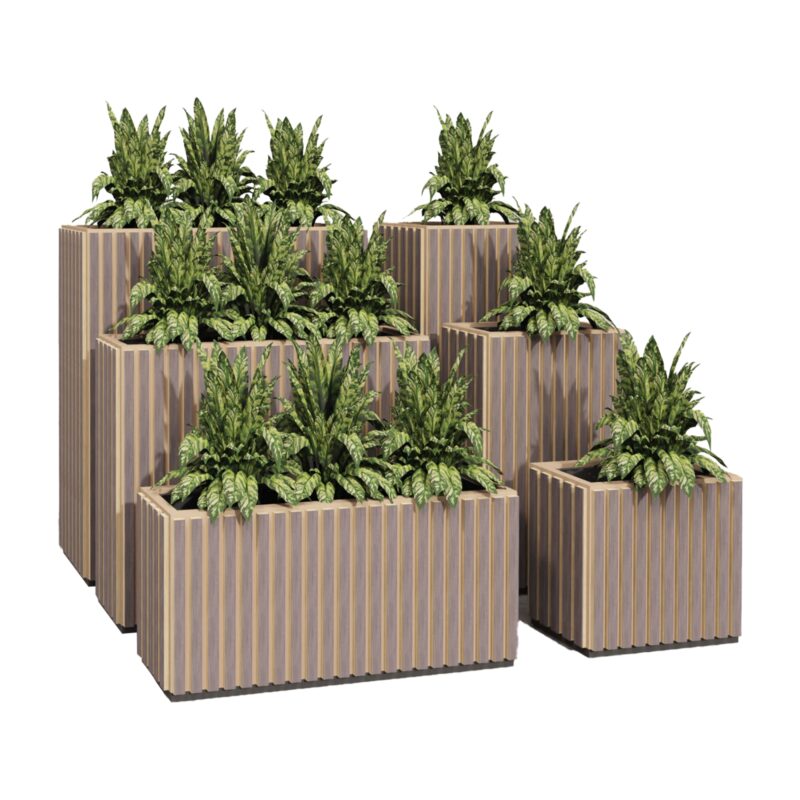 Hush_Planters_Timbre_2