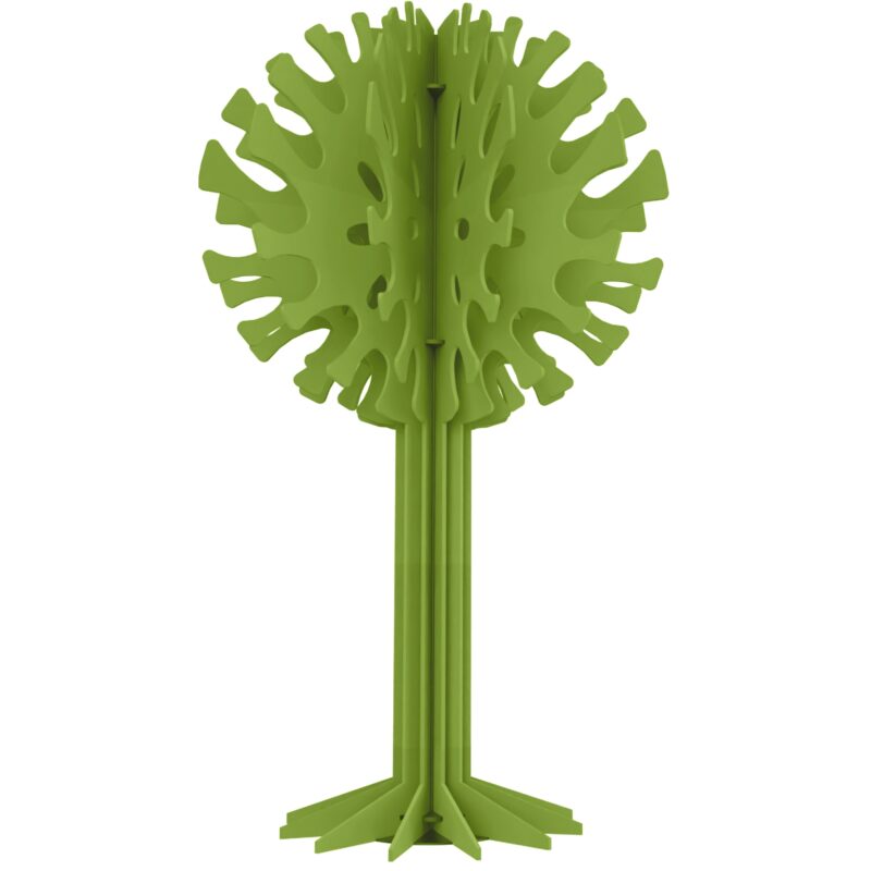 Hush_Trees_Ash_Moss