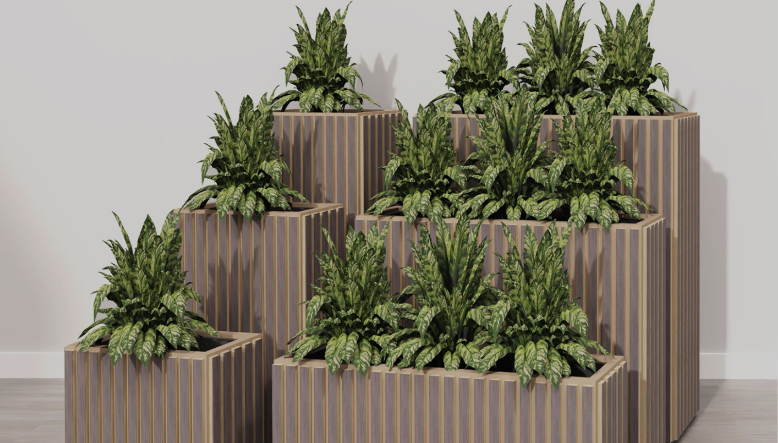 Hush_Timbre-Planters