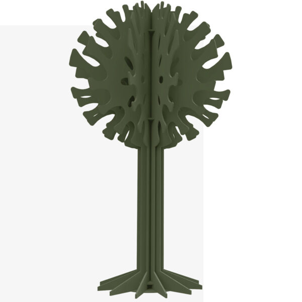 Hush_Trees_Ash_Forrest